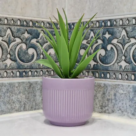 Castilla Apartment Malaga